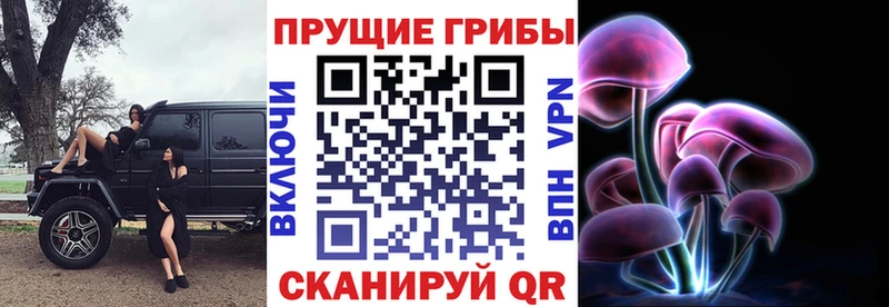 Купить закладки  Боровичи  Псилоцибиновые грибы GOLDEN TEACHER 